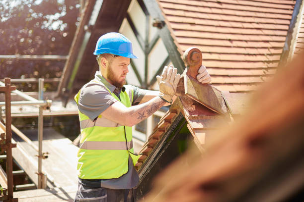 Best Roof Maintenance Services  in Dorneyville, PA